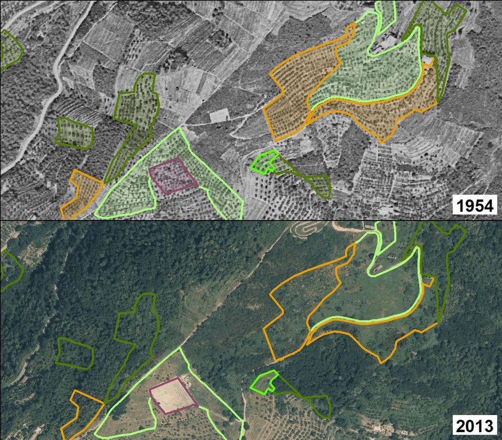 Analisi Diacronica tra 1954 e 2013