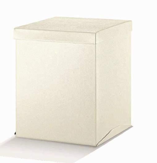 MAXI BOX PELLE BIANCO MAXI BOX TRASPARENTE