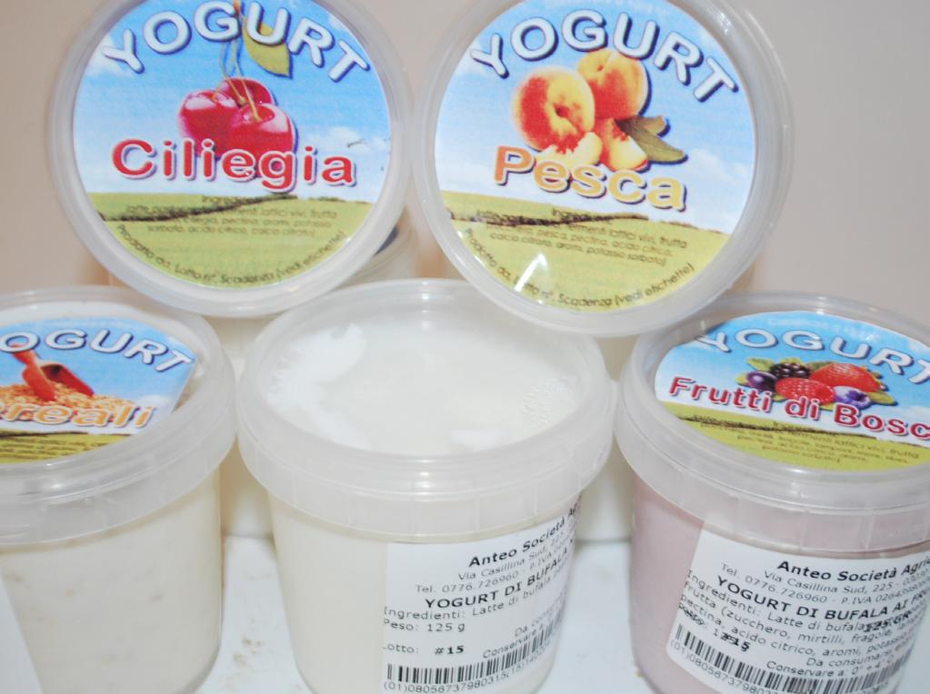 LO YOGURT DI BUFALA Valori Nutrizionali : Valore energetico: 131 Kcal Proteine: 4,5 g Carboidrati: 12 g Grassi: 7,2 g Caratteristiche ed Ingredienti Latte di bufala 100%, fermenti lattici Barattoli