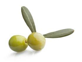 Olio Confezione in cartone 1 bottiglia 9 ettari di olivi danno vita all Olio dell