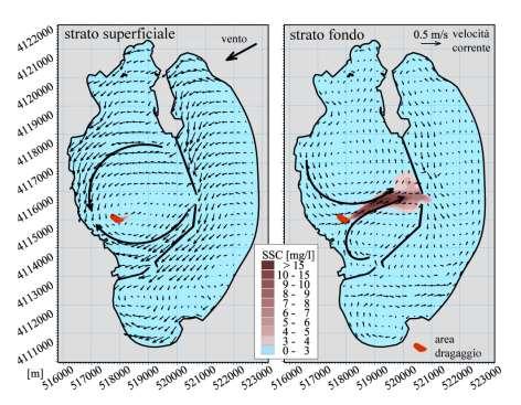 VARIABILITA SPAZIALE DEGLI EFFETTI INTENSITA E DISTRIBUZIONE DEL PLUME DI SEDIMENTI E DELLA