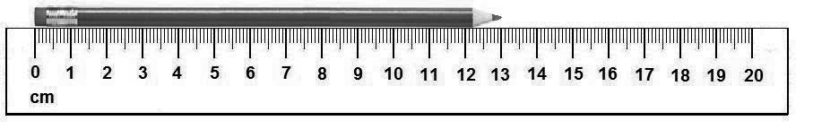 D6. Marta izmeri svoj svin nik z ravnilom. Koliko je dolg Martin svin nik? Odgovor:. centimetrov D7.