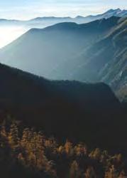 Nella pagina a fianco: panorama sulla Francia dal Toraggio; sentiero scavato nella roccia presso il Passo della Gava; un esemplare di giglio pomponio; panorama dal tratto che scende a Colla Melosa.