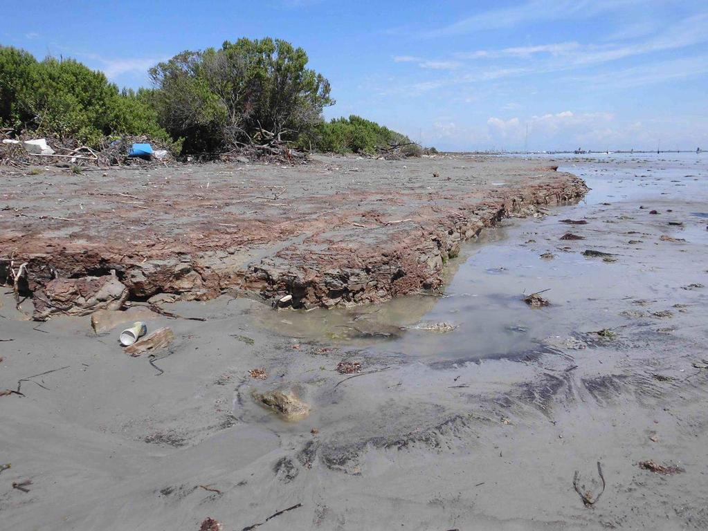 Figura 95. Linea di riva in erosione nell area Nord (punto di riferimento numero 8) della cassa di colmata B. Fotografia del 16 luglio 2014.
