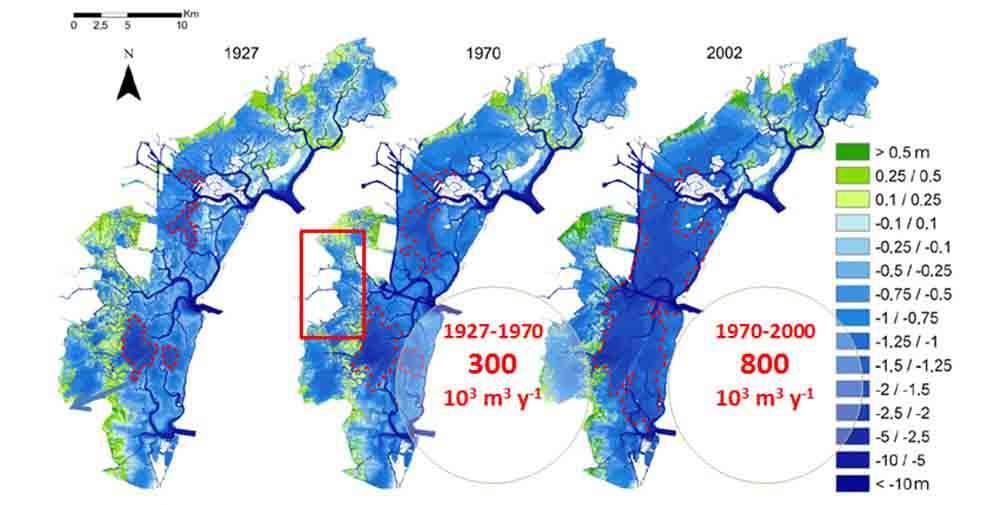 (le casse di colmata) (Molinaroli et al., 2009). La superficie delle barene si è ridotta di oltre il 50%, da 68 Km 2 nel 1927 a 32 km 2 nel 2002.