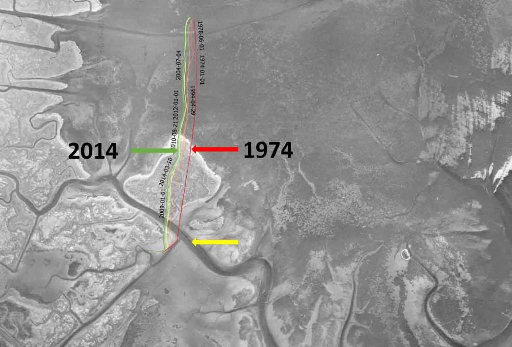 In Figura 37 è rappresentata la fotografia aerea del 1954 con le linee di riva (dal 1974 al 2014) riprodotte con diversi colori, proprio nella zona nella quale sarà costruita la futura cassa di