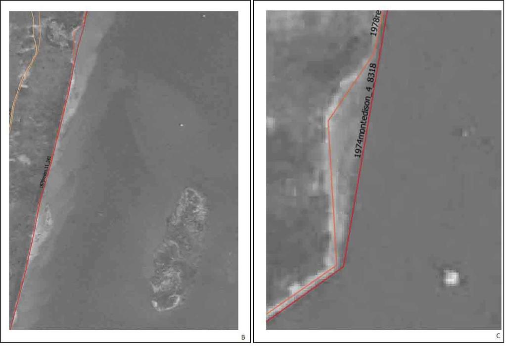 Area centro-sud (A) e dettagli dell erosione nella linea di riva per
