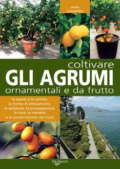 95335K ean > 9788841249420 IL GRANDE LIBRO DEGLI IRIS euro > 18,00 cm >