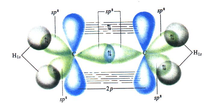 Idrocarburi insaturi: alcheni rbitali molecolari dell etilene Negli alcheni i carboni dei doppi legami presentano ibridazione sp2.