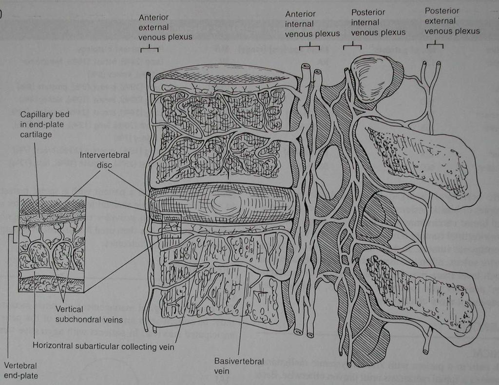 Teoria di