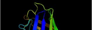 La Biologia Strutturale è una sottobranca della