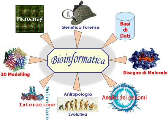 Wikipedia: La bioinformatica è una disciplina scientifica