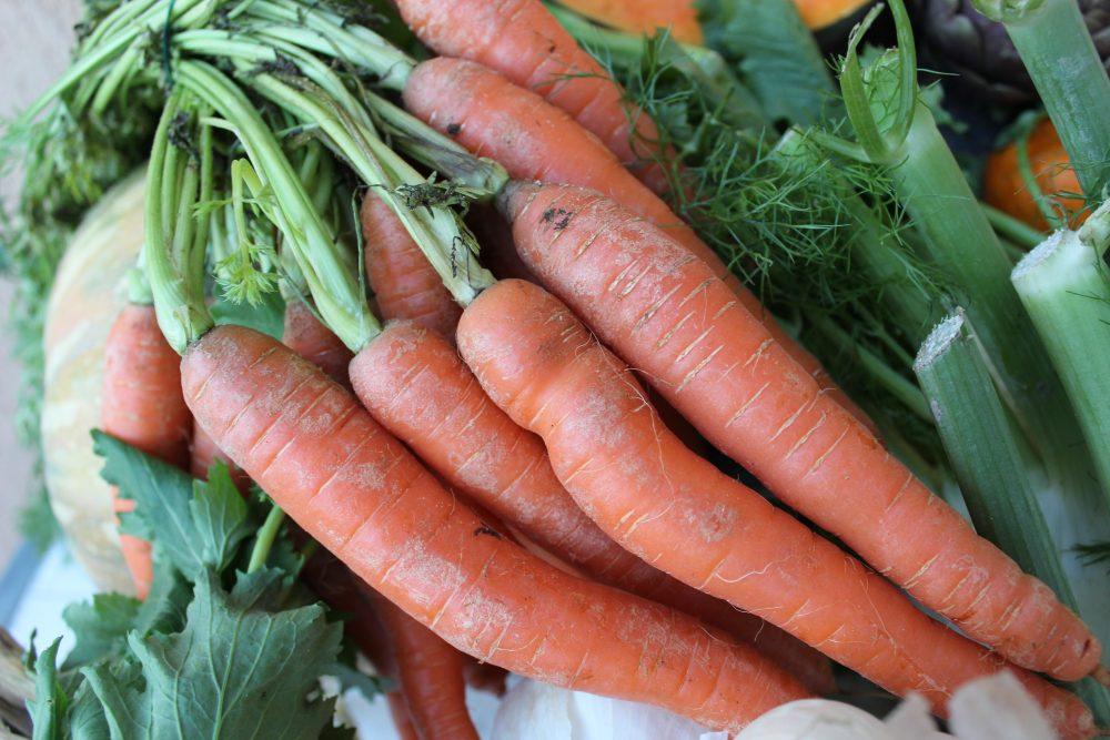 Top Ten degli alimenti, le carote La Zucca nonostante sia un alimento molto dolce, è un alimento valido nelle diete ipocaloriche e adatta ai soggetti diabetici, grazie al suo