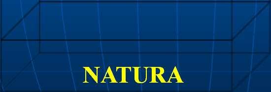 DENOMINAZIONE NATURA Razionalità territorializzante T E R