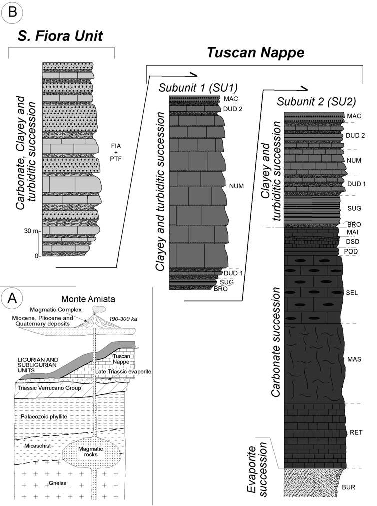 78 A. BROGI & L. FABBRINI Fig.