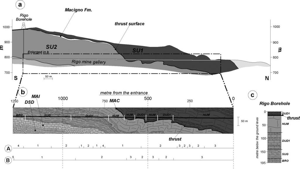 THE MONTE PENNA THRUST, SOUTHERN TUSCANY 81 Fig. 5 - Geological section across a gallery mine traced in the fig.