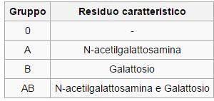 Gruppi sanguigni I gruppi sanguigni vengono classificati secondo la presenza o l'assenza di antigeni sulla superficie dei globuli rossi.