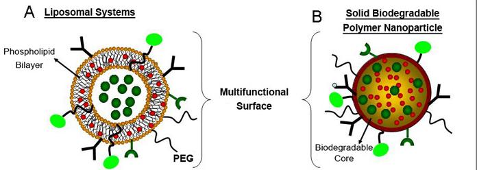 Microemulsioni: stabilizzare la superficie Nanosistemi Il tensioattivo può agire anche da funzionalizzante, impartendo capacità stealth, di targeting attivo, ecc.
