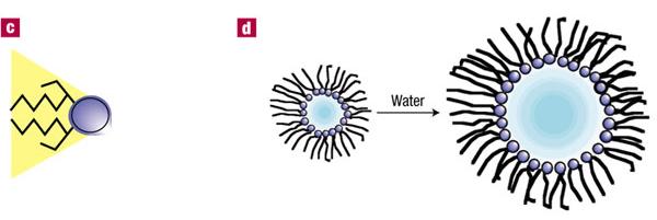 Nanosistemi Microemulsioni: nanoreattori Emulsioni a fase inversa (water in oil, w/o), sono piccole goccioline d acqua in un solvente organico stabilizzate da un tensioattivo.