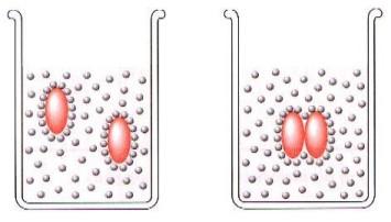 Effetto idrofobico Sistemi auto-organizzati acqua molecola idrofobica Molecole non polari, se disperse in acqua, tendono a formare dimeri ed aggregati non covalenti.