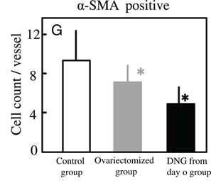 is significantly reduced around the progestinexposed eutopic endometrial microvasculature.