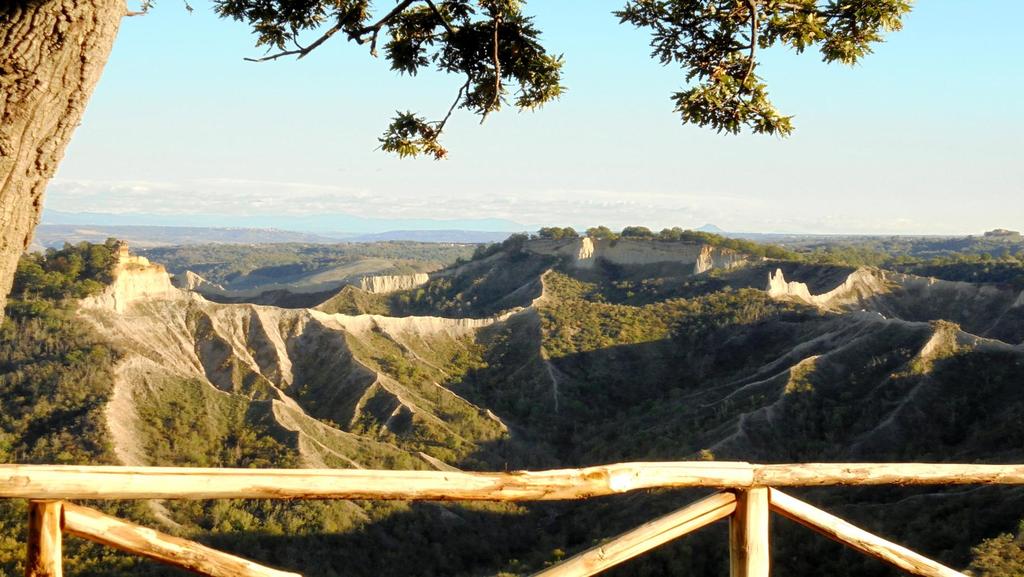 Lubriano è la più bella terrazza sulla Valle dei Calanchi e il Museo propone esperienze didattiche rivolte a studenti di tutte le età, generalmente con la seguente formula: accoglienza presso la sede