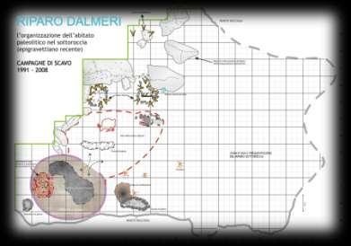 SITO E PRINCIPALI TEMATICHE AFFRONTATE Ricerche di campagna in corso di chiusura STRATIGRAFIA MTSN- Univ. Ferrara Univ. Trento PALEOECOLOGIA Lab.