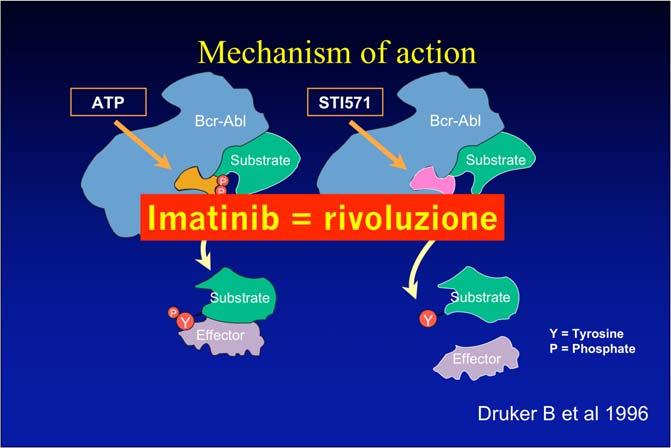 Mechanism of action ATP Bcr-Abl STI571 Bcr-Abl Substrate Substrate Y Y Imatinib = rivoluzione