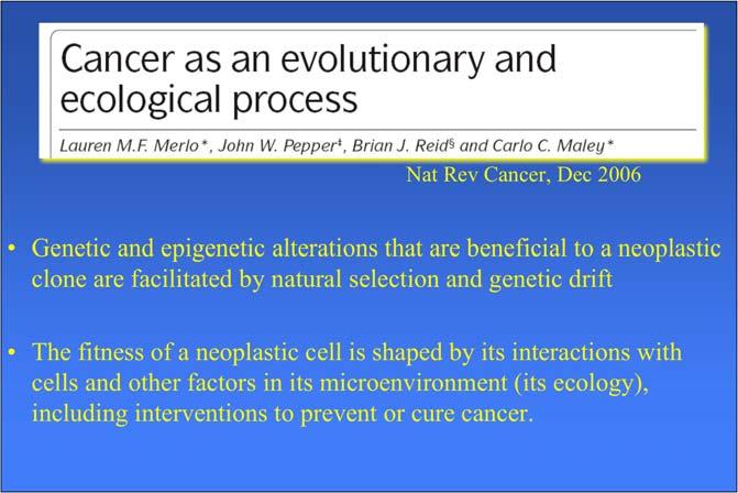 at Rev Cancer, Dec 2006 Genetic and epigenetic alterations that are beneficial to a neoplastic clone are facilitated by natural selection and genetic drift The fitness