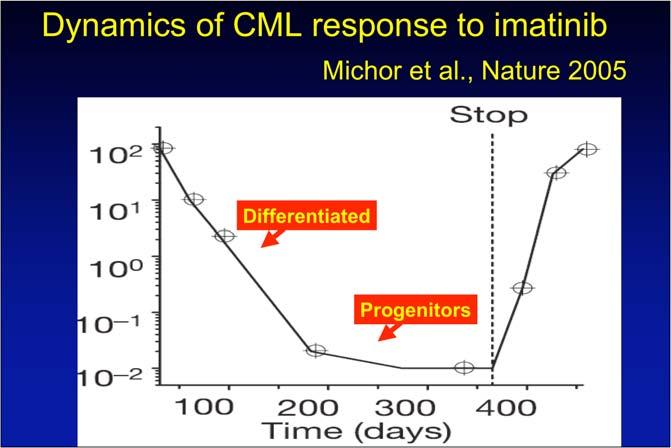 Dynamics of CML response to imatinib Michor