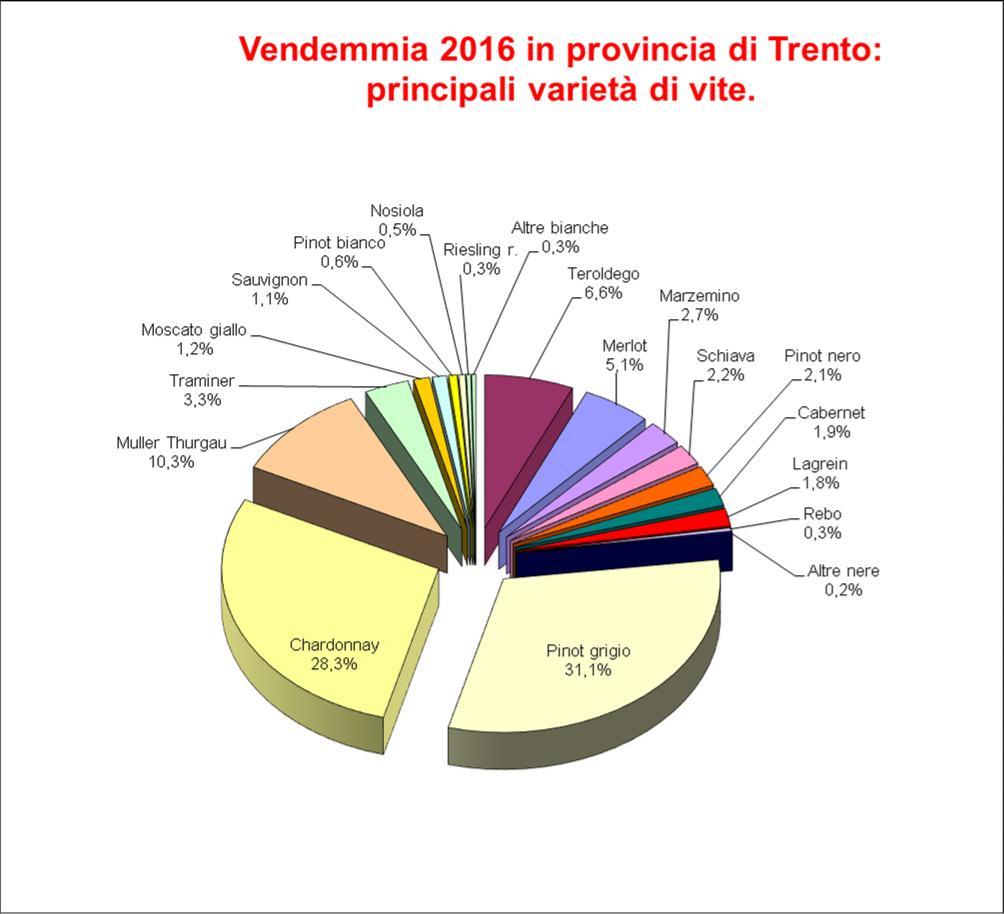 Complessivamente il raccolto delle Aziende che fanno capo al Consorzio Vini del Trentino ha raggiunto la cifra di 1.155.753 quintali di uva.