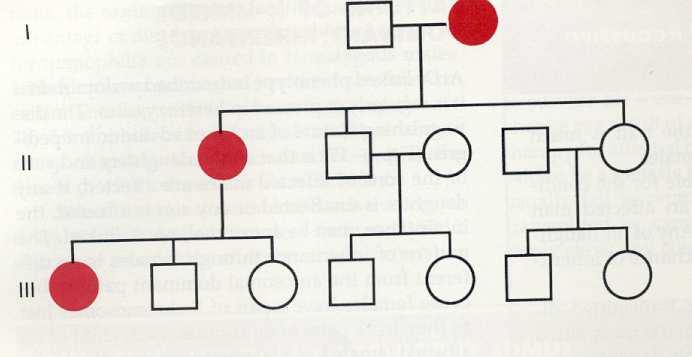 materna, eteroplasmia, aplotipo, evoluzione umana Alberi genealogici ereditarietà XD