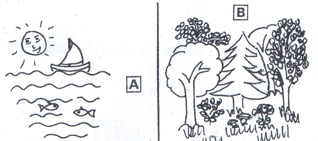 7. Cosa vede il bambino volando con il tappeto? 8.