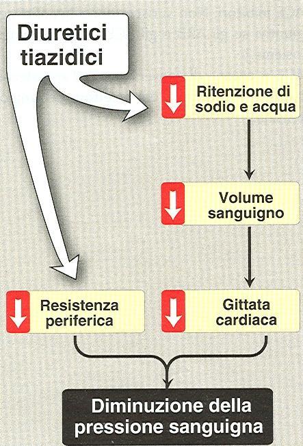 escrezione Tiazidici