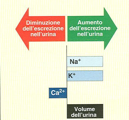 Variazioni relative della composizione dell urina Tiazidici -