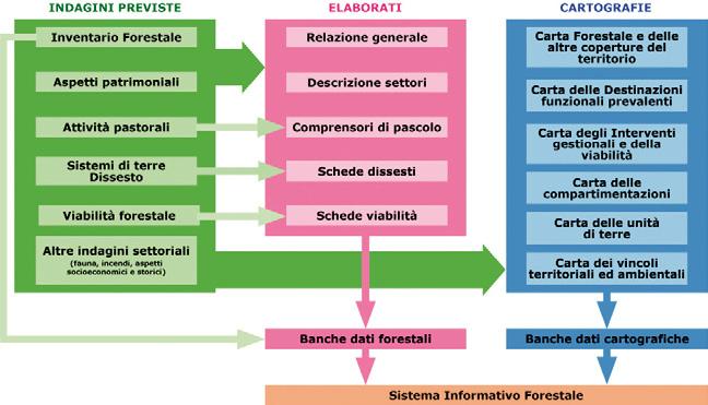 Fonte dei dati forestali regionali Figura 2 Contenuti dei Piani Forestali Territoriali.