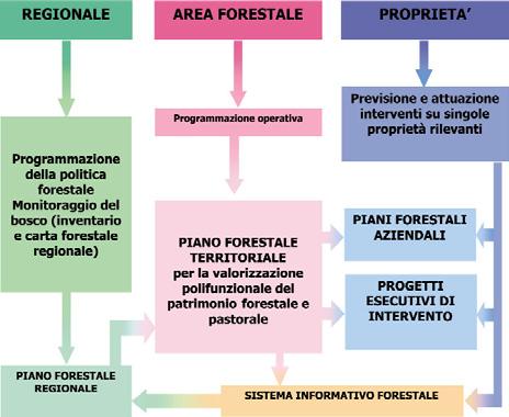 Fonte dei dati forestali regionali Figura 1 I livelli di pianificazione e gestione forestale in Piemonte. 1.2.