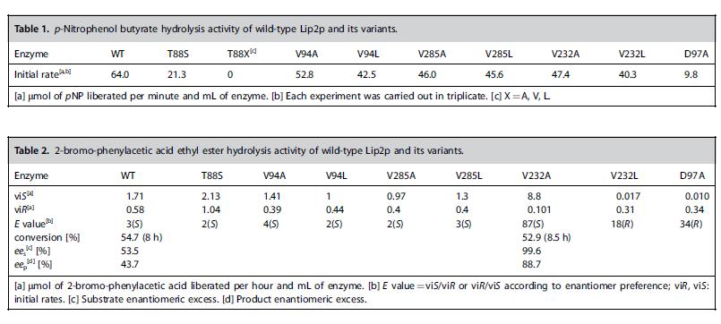 Mutagenesi sito-specifica di lipasi per