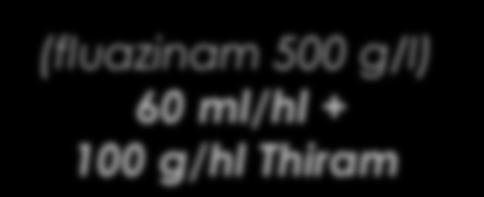 (fluazinam 500 g/l) POMARSOL 50WG 100 ml/hl 60 ml/hl + 100 g/hl Thiram (Thiram 50%) 400 g/hl