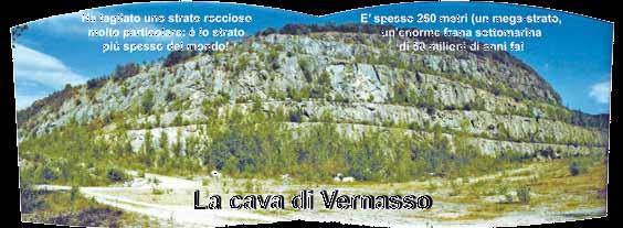 produrre cemento. Quello è il geosito! QUANDO Gli strati che si vedono camminando lungo le rampe che formano la cava si sono formati circa 50 milioni di anni fa (durante l Eocene) in un mare profondo.