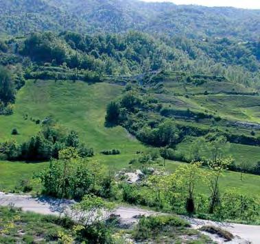 Mioglia Valli Teiro, Sansobbia, Orba, Erro MIOGLIA Lontano dalla storia, vicino alla natura Si chiamava Medulia, molti secoli fa, questo borgo adagiato fra aperte colline verdi di boschi e grigie di