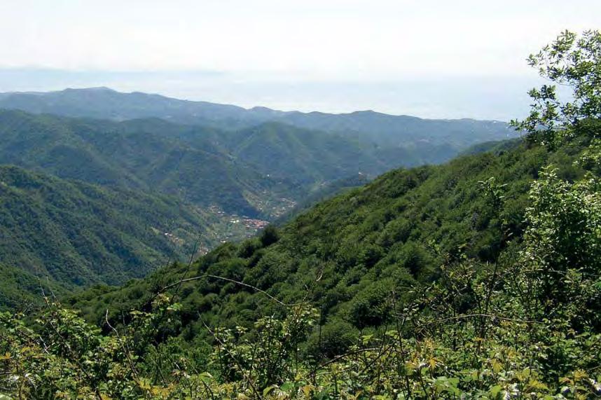 Giusvalla Valle Bormida di Spigno Un po di riposo Si può prendere la stradina che parte dal viale delle Robinie o quella che si dirama dalla provinciale per Pontinvrea fuori paese; entrambe si