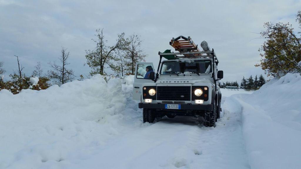 260 Cabine Secondarie 4 Cabine Primarie Attivata e mobilitata una Task Force straordinaria che ha coinvolto: 500 uomini (in