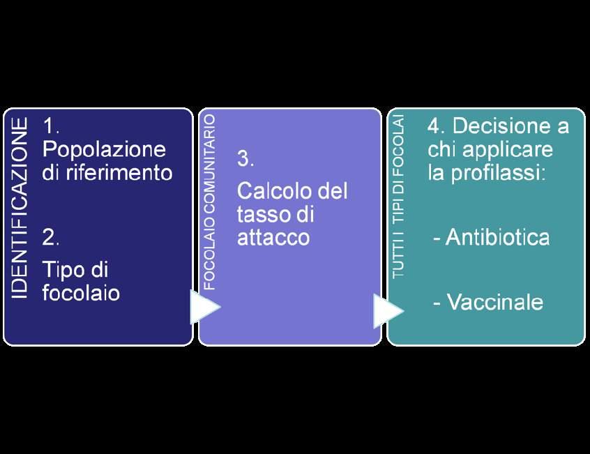 La gestione del focolaio di MMI N.B.