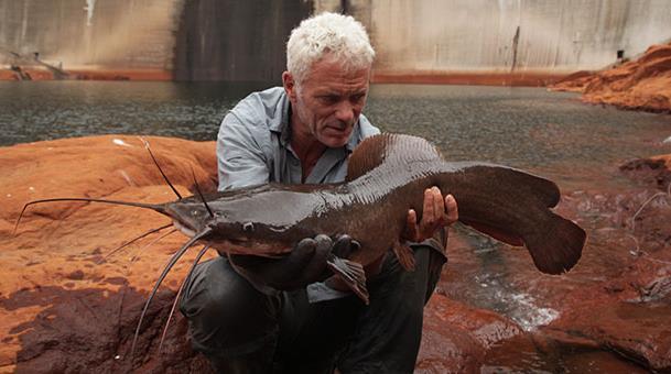 RIVER MONSTERS UN AL