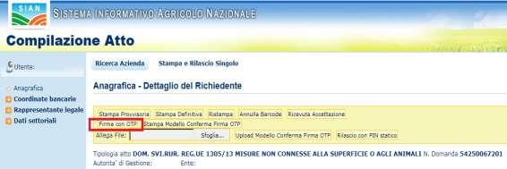 3.1. Utilizzo della firma elettronica (Funzionari regionali, CAA, Liberi professionisti) Gli utenti istituzionali possono firmare elettronicamente le domande nel SIAN con firma elettronica (FE),