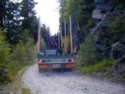 di viabilità - piste forestali e strade trattorabili (carreggiata