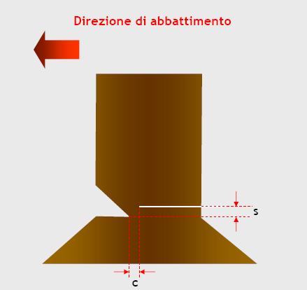 Abbattimento TAGLIO DI ABBATTIMENTO CON ATTREZZATURE PORTATILI MOTORIZZATE (MOTOSEGA) s, scalino di