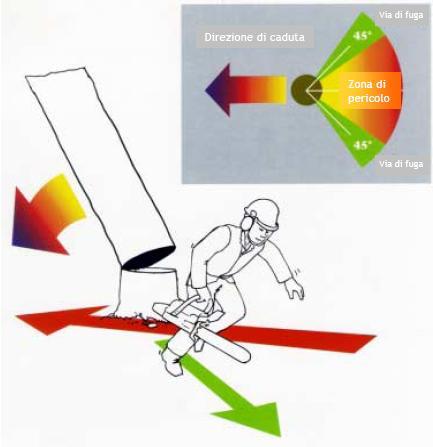 Azioni Preliminari l