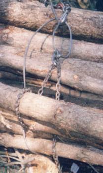 Concentramento ed Esbosco Esbosco con trattore munito di verricello Nell esbosco a strascico con trattore e verricello si ha il collegamento delle fasi di concentramento ed esbosco: il concentramento